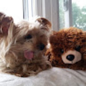 Meet your Posher, Anthony cool stuff